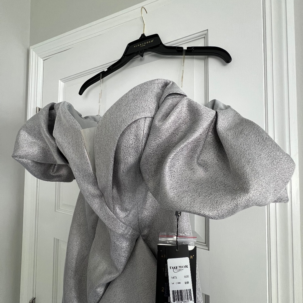 Alexander by Daymor silver gown Size 6. Never worn!